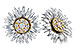 B291-94063: EARRINGS .14 TW