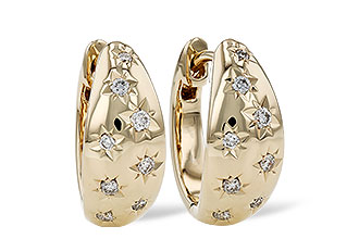 B293-73154: EARRINGS .17 TW