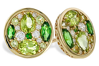 D292-85845: EARR 1.03 TW SEMI-PRECIOUS (TSAV, PER) 1.19 TGW