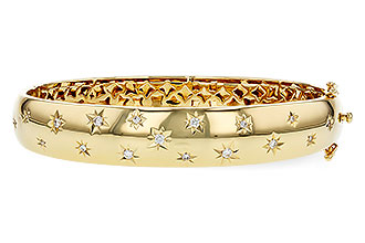 E293-73145: BANGLE .30 TW