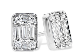 F291-01363: EARR .19 BAG .30 TW