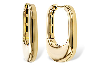 F292-89481: GOLD EARRINGS (24MM)