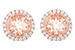 H205-62272: EARR 1.41 MORG 1.60 TGW