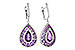 H291-98617: EARR 2.29 TW AMETHYST 2.45 TGW