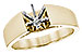 M291-06817: LDS SEMI RG